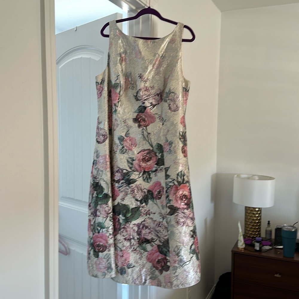 Ladies dress